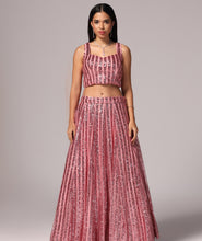 Load image into Gallery viewer, Blush Pink Sequins Sparkle Lehnga Choli Dupatta