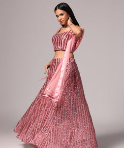 Blush Pink Sequins Sparkle Lehnga Choli Dupatta