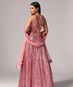 Blush Pink Sequins Sparkle Lehnga Choli Dupatta